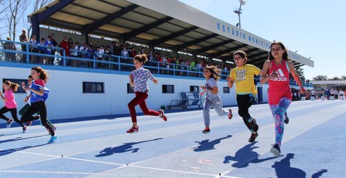 Estádio Municipal de Vendas Novas